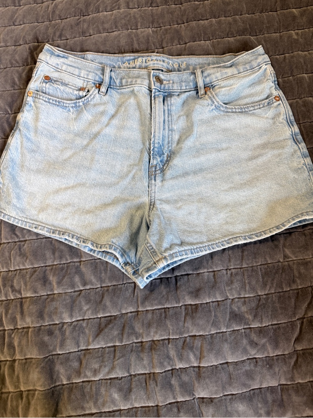 American Eagle Outfitters Light Wash Denim Shorts